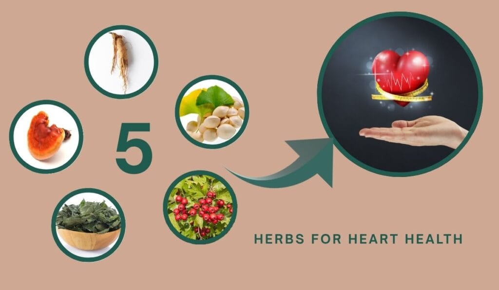 Herbs For Heart Health