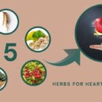 Herbs For Heart Health